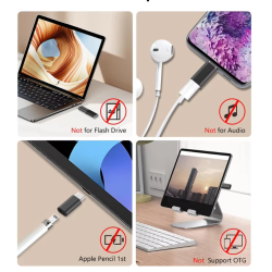 Pack 2 x Adaptador compatible con conector lightning hembra a Tipo C USB-C macho Negro / plata - Para iPhone iPad etc...