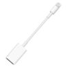 Adaptador OTG USB hembra a conector LIGHTNING 8 pines ⋆ Compatible con iPhone / iPad / iPod ⋆ Transferencia rápida y segura
