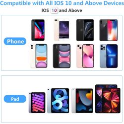 Adaptador Ethernet 2 en 1 Lightning a RJ45 ⋆ Internet por cable + carga simultánea ⋆ Compatible iPhone/iPad ⋆ 10/100 Mbps